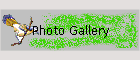 Photo Gallery